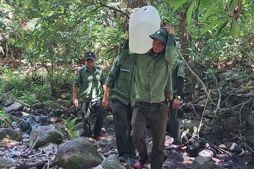 Gùi nước giữ rừng giữa mùa khô hạn