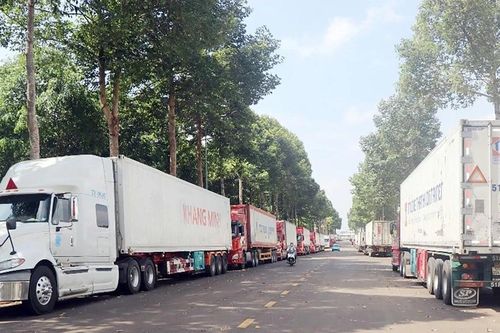 Sầu riêng xếp hàng dài chờ kiểm định xuất đi Trung Quốc, Bộ Nông nghiệp đề nghị gỡ khó
