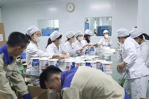29 bị can trong vụ sản xuất, buôn bán hàng trăm nghìn hộp sữa giả dành cho trẻ sơ sinh và 'bà bầu' bị truy tố