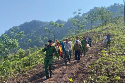 Những bước chân băng rừng sưởi ấm nơi bản cao Tây Bắc