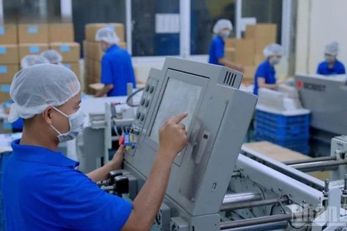 Thành phố Hồ Chí Minh thiếu lao động kỹ thuật cao
