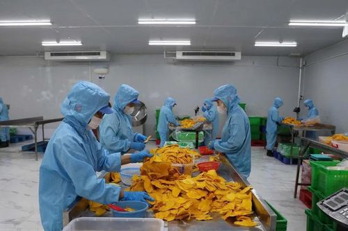 727.000 lao động tại Khu chế xuất, khu công nghiệp TPHCM có nhu cầu về chỗ ở