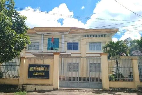 Chuyển cơ quan điều tra vụ gây thất thoát ở Công ty TNHH MTV Cà phê Gia Lai