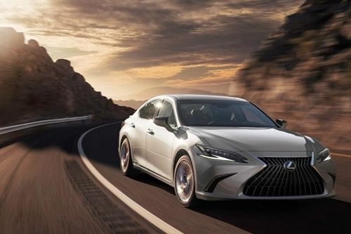 Cập nhật bảng giá xe hãng Lexus mới nhất tháng 5/2026