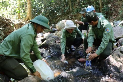 Khô hạn bủa vây, kiểm lâm 'gùi nước' giữa rừng sâu