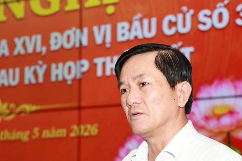 Phường đông dân nhất TPHCM bố trí 7 vị trí đất công để xây 11 trường học