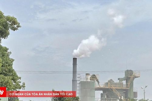 Hải Phòng: Xử phạt 3 công ty vi phạm pháp luật về môi trường