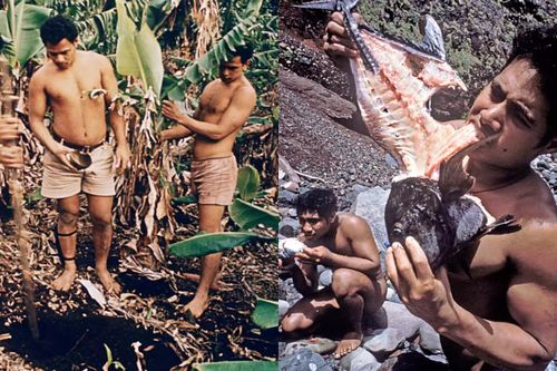 6 nam sinh sống 15 tháng trên đảo hoang không bóng người, giờ ra sao?
