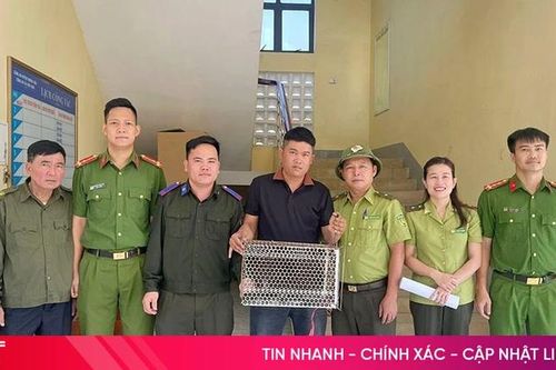 Bàn giao cá thể trăn đất cho cơ quan chức năng
