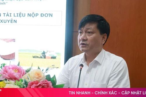 Góp ý hoàn thiện hồ sơ đăng ký nhãn hiệu chứng nhận 'Gạo Cẩm Xuyên'