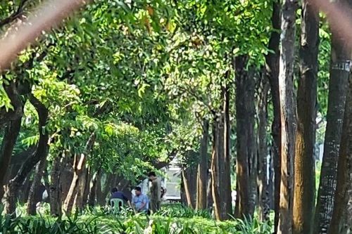 Người đàn ông tử vong bí ẩn tại khuôn viên cây xanh ở Thành phố Hồ Chí Minh