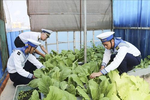 Trường Sa - sức sống nơi tiền tiêu Tổ quốc - Bài 2: Những mầm xanh giữa trùng khơi
