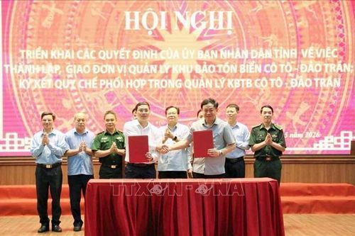 Thiết lập 'lá chắn xanh' bảo vệ đa dạng sinh học biển tại Cô Tô - Đảo Trần