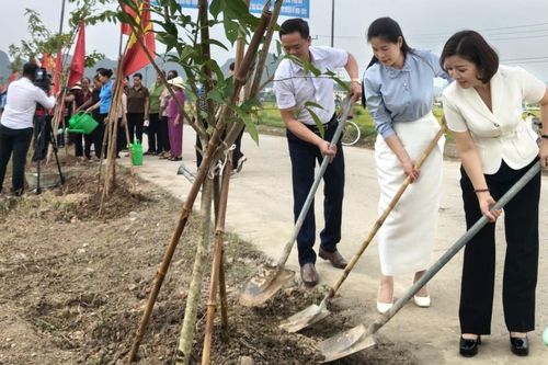 Ninh Bình: Khánh thành 'Đường cây Phụ nữ' chào mừng Đại hội