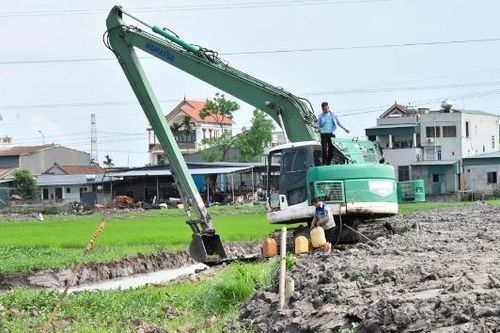 Trung Kênh hồi sinh một vùng ruộng bỏ hoang
