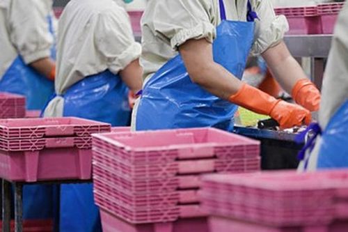 Xuất khẩu thủy sản quý I/2026 đạt 2,64 tỷ USD nhưng đối mặt nhiều rào cản thương mại