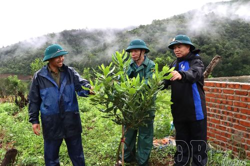 Nỗ lực thu hút đầu tư vào nông nghiệp