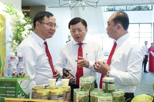 Rà soát công tác quản lý nhà nước lĩnh vực kinh tế hợp tác