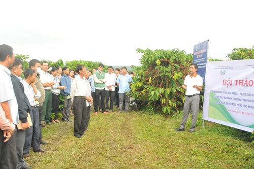 Mở hướng canh tác xanh cho nông nghiệp Lâm Đồng