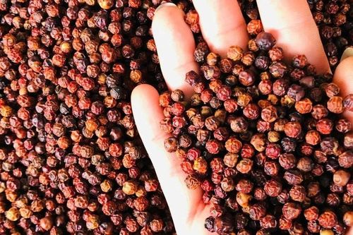 Giá tiêu hôm nay 7/5/2026: Tiêu trong nước đi ngang, duy trì ở mức 140.000–144.000 đồng/kg