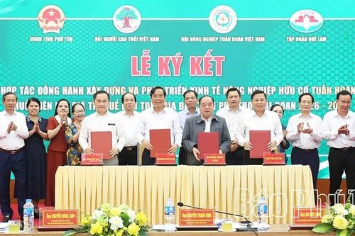 Người cao tuổi thúc đẩy nông nghiệp hữu cơ tuần hoàn