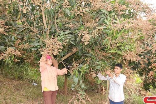 Đổi mới, nâng cao chất lượng hoạt động của Hội Nông dân
