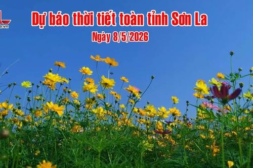 Dự báo thời tiết toàn tỉnh Sơn La ngày 8/5/2026