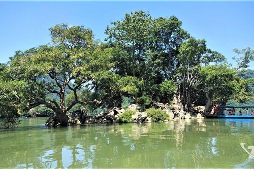 Bản hòa ca của đại ngàn Việt Bắc