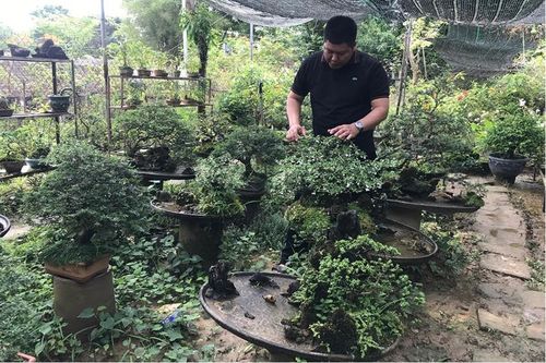 'Vườn thanh niên' ở Mỹ Thượng