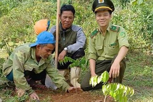 Lâm nghiệp bền vững - trụ cột xanh cho đô thị di sản