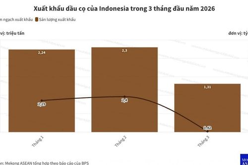 Xuất khẩu dầu cọ của Indonesia giảm mạnh do áp lực chi phí