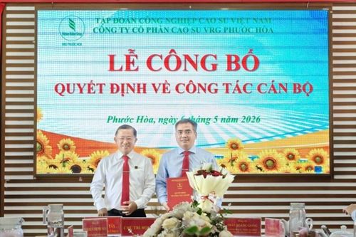 Cao su Phước Hòa bổ nhiệm tân tổng giám đốc