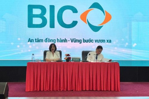 BIC chốt kế hoạch bán bảo hiểm vệ tinh, tử kỳ từ năm 2027