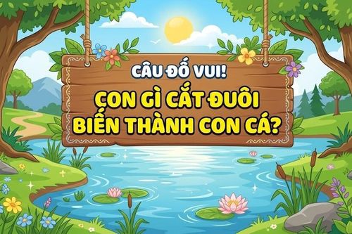 Giải mã câu đố 'hack não': Con gì cắt đuôi biến thành con cá?