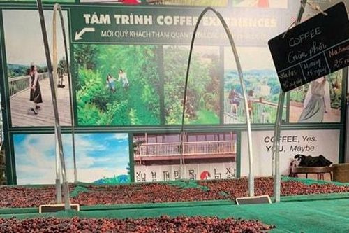 Xuất khẩu cà phê Việt Nam: Tăng trưởng thiếu bền vững, áp lực tái cấu trúc