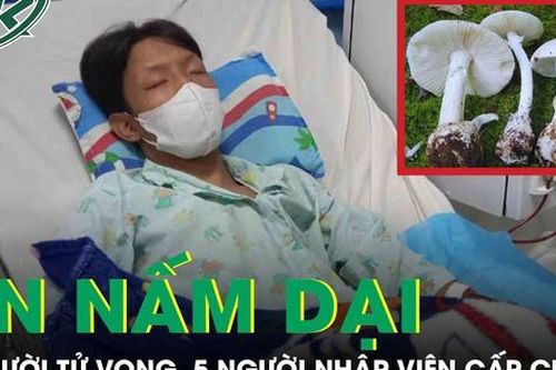 1 người tử vong, 5 người cấp cứu sau khi ăn canh nấm