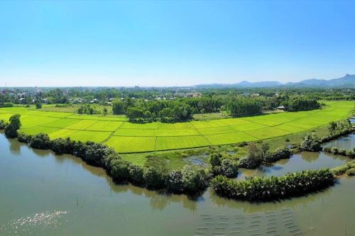 Đà Nẵng: Khi Mặt trận cùng hồi sinh những cánh đồng hoang hóa