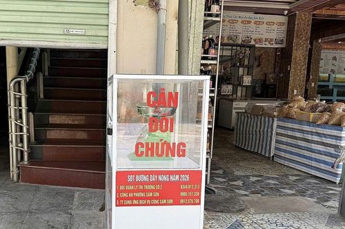 Sầm Sơn lắp cân đối chứng giữa chợ hải sản, du khách thích thú