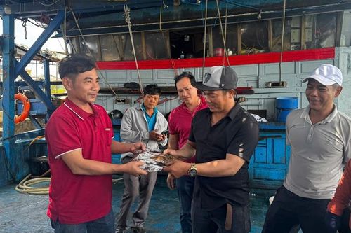 Hai tháng giữa biển khơi, ngư dân Quảng Ngãi thu tiền tỉ từ mực