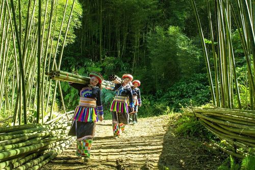 Vì một miền quê đáng sống: Đặc sắc du lịch 'Nông nghiệp xanh' Thượng Minh