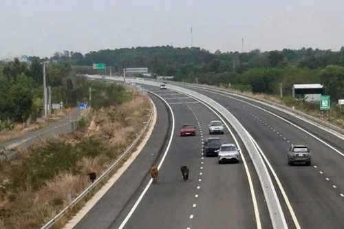 Cảnh báo nguy cơ mất an toàn trên cao tốc Biên Hòa-Vũng Tàu
