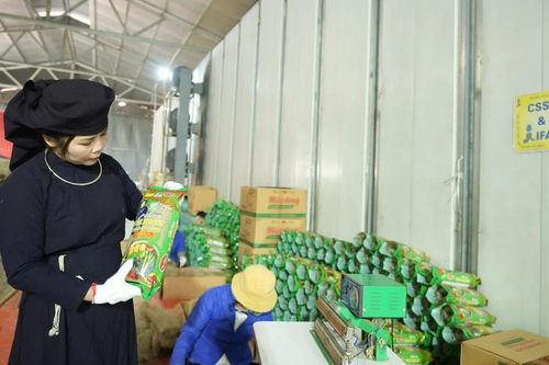 Hỗ trợ tối đa 1,8 tỷ đồng cho các sáng kiến về chuyển đổi xanh do phụ nữ dẫn dắt