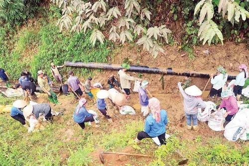 Chủ động dẫn nước chống hạn, phục vụ sản xuất nông nghiệp