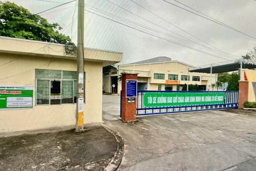 Khẩn trương kiểm tra, xử lý nhà máy sản xuất giấy gây ô nhiễm môi trường
