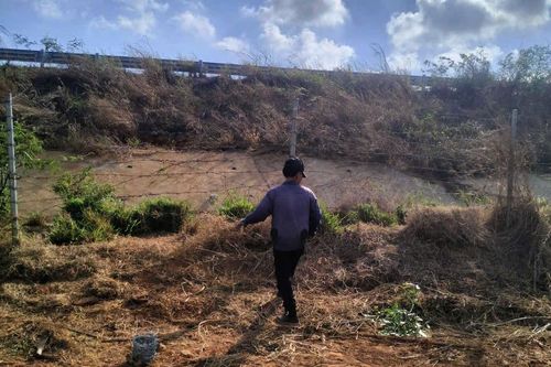 Lắp rào chắn, ngăn bò, dê chạy vào cao tốc Biên Hòa - Vũng Tàu
