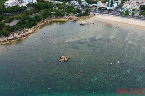 Cảnh báo tình trạng giẫm đạp lên rạn san hô gần bờ vịnh Nha Trang
