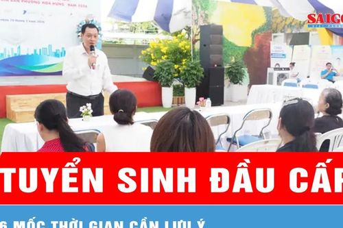 TPHCM: 6 mốc thời gian cần lưu ý khi đăng ký tuyển sinh đầu cấp