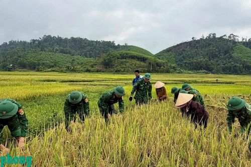 Bộ đội Biên phòng tỉnh Nghệ An: Nhiều hoạt động thiết thực hướng về cơ sở