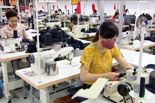Giảm lãi suất là cần, nhưng mở rộng cánh cửa tín dụng mới đủ