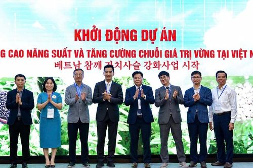 Sắp hình thành vùng sản xuất vừng hiện đại tại Nghệ An, Đồng Tháp